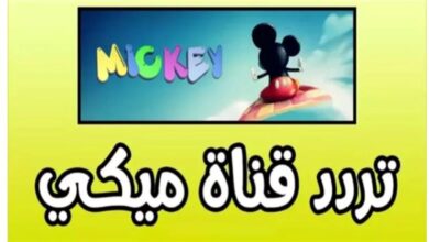 Mickey Channel