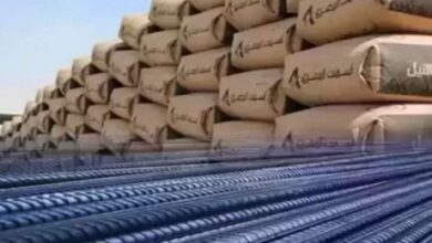الحديد والأسمنت
