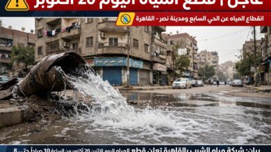 الحي السابع ومدينة نصر اليوم