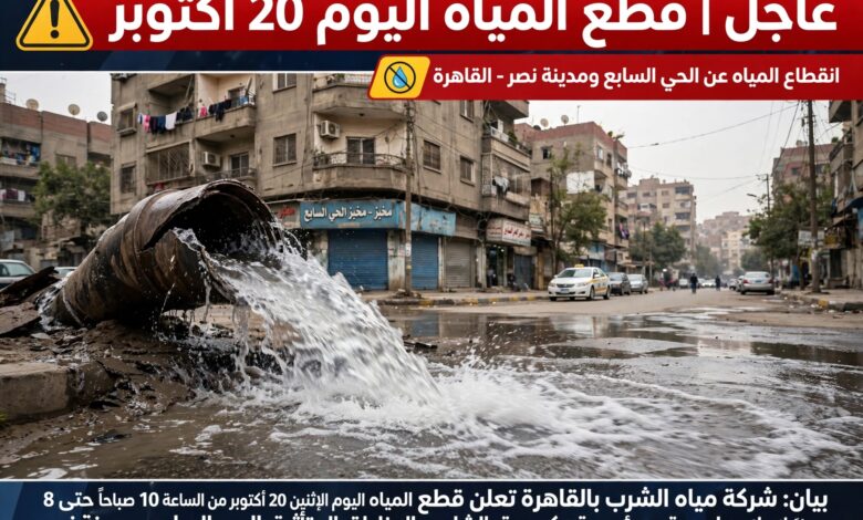 الحي السابع ومدينة نصر اليوم