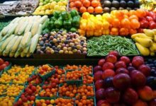 أسعار الخضار اليوم