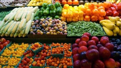 أسعار الخضار اليوم
