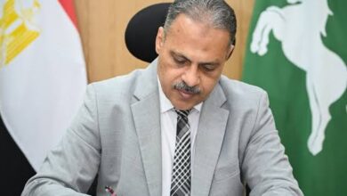 محافظ الشرقية
